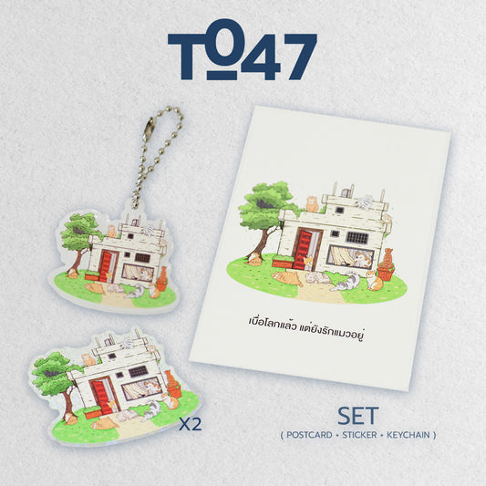 T_047 Cat T-shirt 2026 -Set